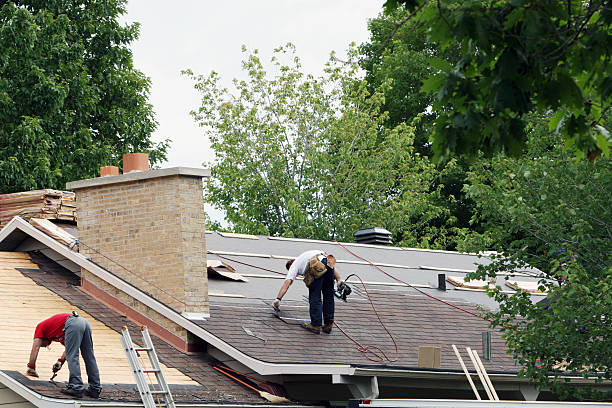 Roof Gutter Cleaning in Garden City, NY